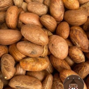 Orogbo (Bitter Kola)