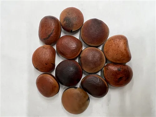 Bull's Eye (Ojo de Buey) - 1 Dozen