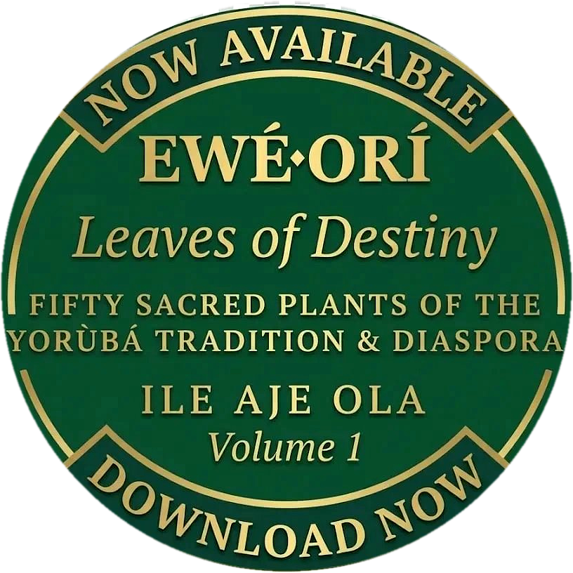 Ewé Orí: Leaves of Destiny — Download Now